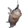 RANDOM CURSED SHITPOST MEME  5