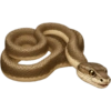 IPhone emoji animals 2 8