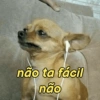 não ta fácil não