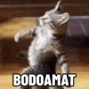 BODOAMAT