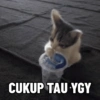 Kucing Anomali 3 10
