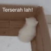 Terserah lah!