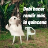 Debi hacer rendir más la quincena