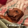 😛Diferentes moods😛 5