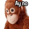 Ay no