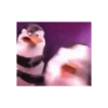 RANDOM CURSED SHITPOST MEME  12