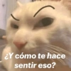 ¿Y cómo te hace sentir eso?