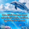 🦄🐬 Symphony Memes 2🐬🦄 15