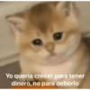 Yo quería crecer para tener dinero, no para deberlo