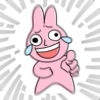 Pink korea rabbit  17