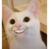 Memes random 3 12