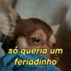 só queria um feriadinho