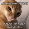 APA GUNANYA TAMPAN KALAU TIDAK BISA JADI MILIKKU