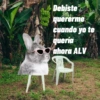 Debiste quererme cuando yo te quería ahora ALV