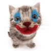 Gatos parte 1 19