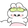 Rabbit centil  14