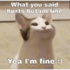 What you said hurts but im fine Yea I'm fine