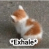 *Exhale*