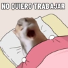 NO QUIERO TRABAJAR