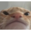 Mis pegatinas 15
