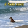 é foda cara