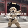 🛝🤸🏻 MEMES 2 🤸🏻‍♀️🛝 8