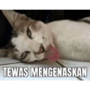 TEWAS MENGENASKAN