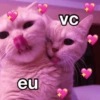 É MUITO AMOR ❤️🫶🏼 11