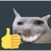Meme ngakak(edisi kucing) 21