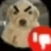 PerrOoZZ🐕🐶 11