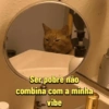 Ser pobre não combina com a minha vibe