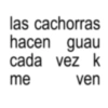 Textos brat frases 22