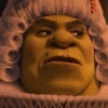 SHREK 15