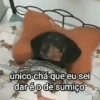 Doente de amor 😢💔 11