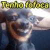 Tenho fofoca