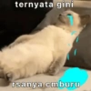 ternyata gini rsanya cmburu