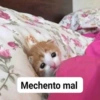 Mechento mal