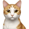 🐱 Pet Cats | Emoji Style 11