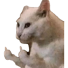 Memes engraçados 23