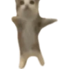 RANDOM CURSED SHITPOST MEME  14
