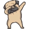 Dog salute 25