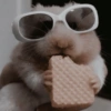 Ratinho debochado  7