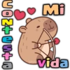 C+S+NON Mi :- geys vida