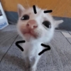 Tiny Fury