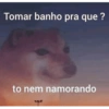Bixos com frases 6