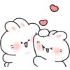 Rabbit centil  5