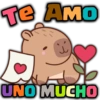 Te AMO geysioy UNO MUCHO