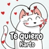 Flork michi gato pal'chat 🧦🐱 16