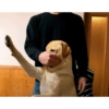 Memes random 3 14