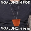 NGALUNGIN POD NGALUNGIN POD